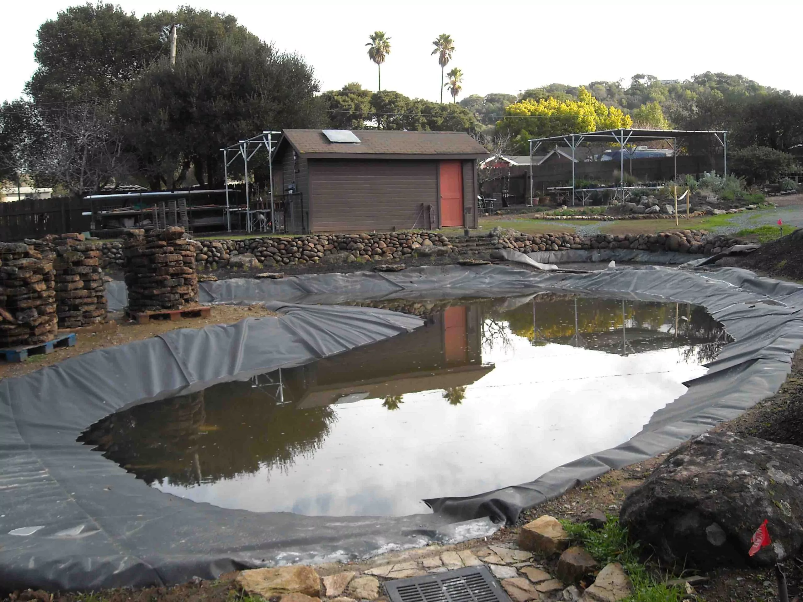 Pond-new-liner