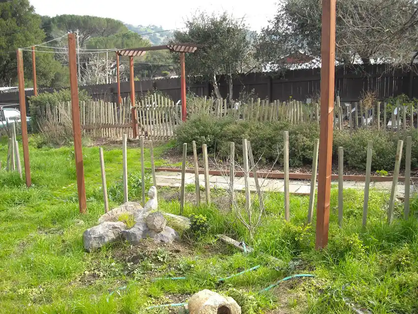 Home Ground Habitats - 0 - Jan 2019 We Inherited A Filed of Weeds etc