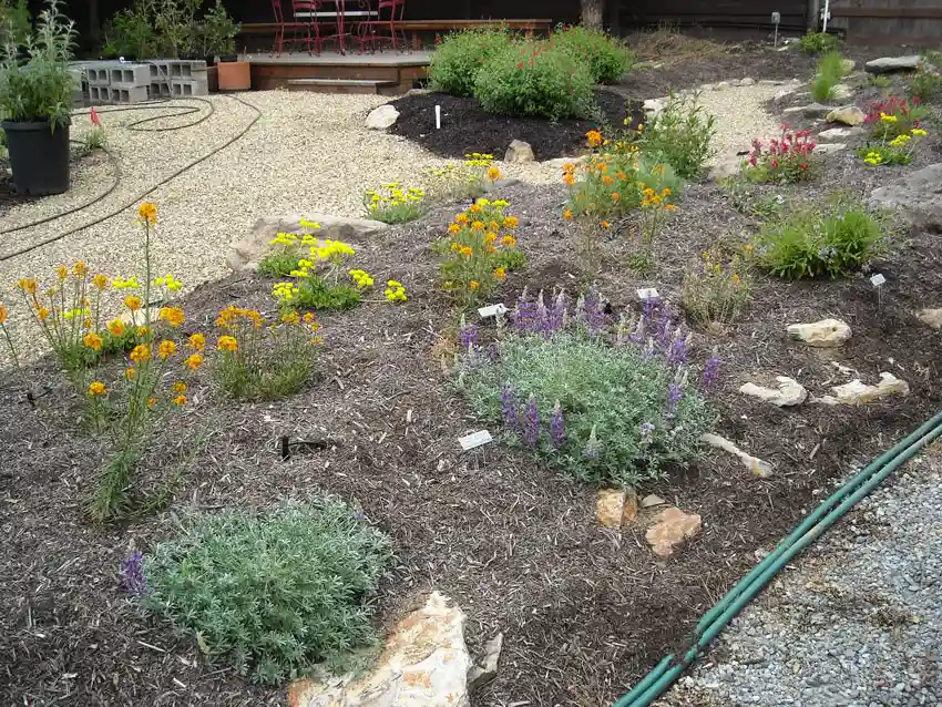 Home Ground Habitats - 12 - May 2020