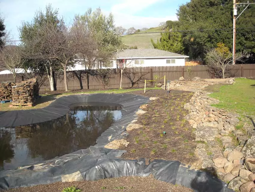 Home Ground Habitats - 9 Pond new path b 2021