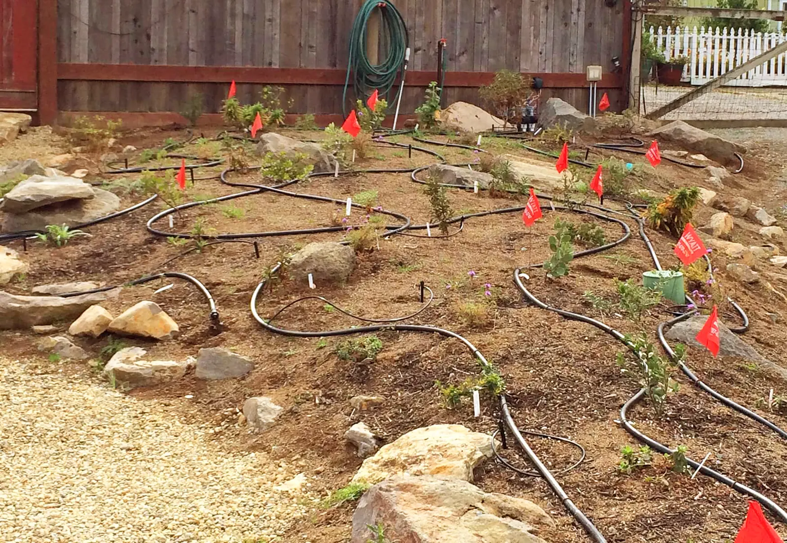 Home-Ground-Habitats Nursery berm watering system
