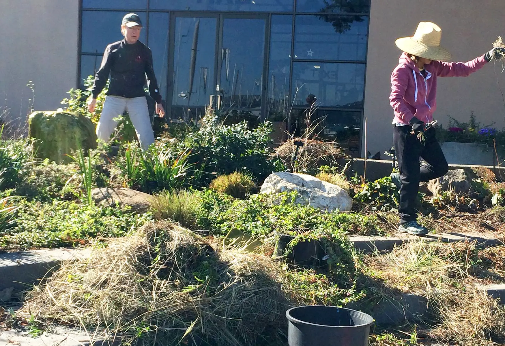 Home-Ground-Habitats Nursery berm watering system