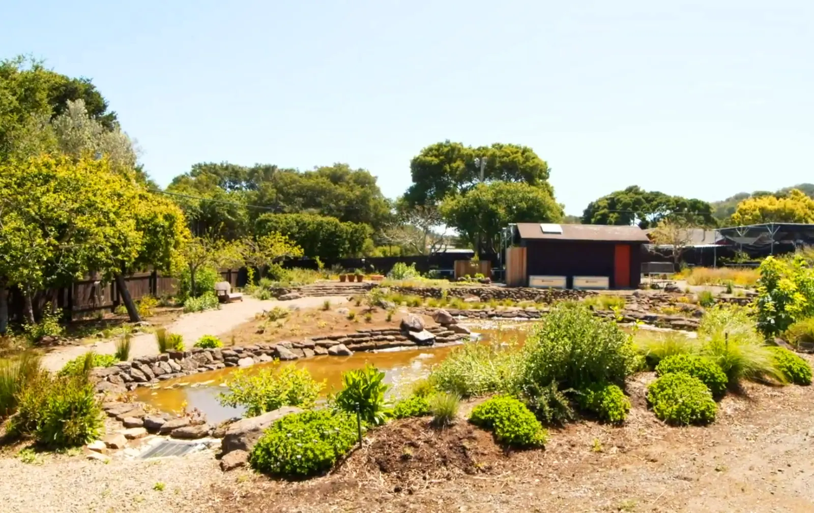Home Ground Habitats Nursery