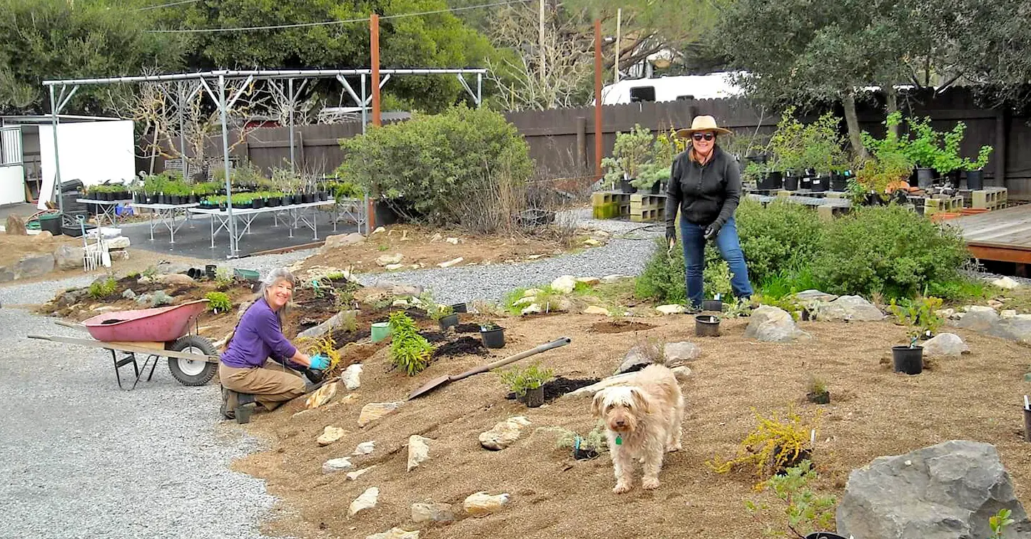 nursery volunteers at work