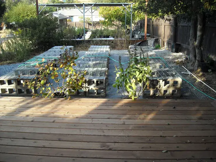 Home Ground Habitats - A5 - new grow benches set up in Octoberb 2019