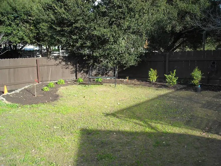 Home Ground Habitats - C1 - Mulberry New Border Feb 2021