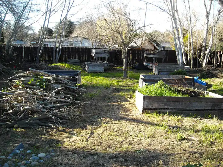 Home Ground Habitats - D1 - 2-19 - GH Area Before Deconstruct
