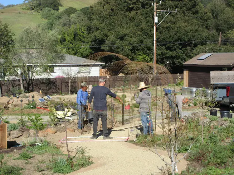 Home Ground Habitats - E2 - It Takes Several Individual Arbors