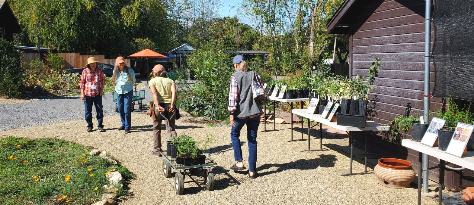 Home Ground Habitats - Garden Sale - People in a garden with a stall selling seeds.