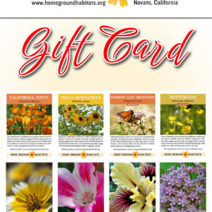 Home Ground Habitats - Gift Card - Images of different flowers, logo and texts.