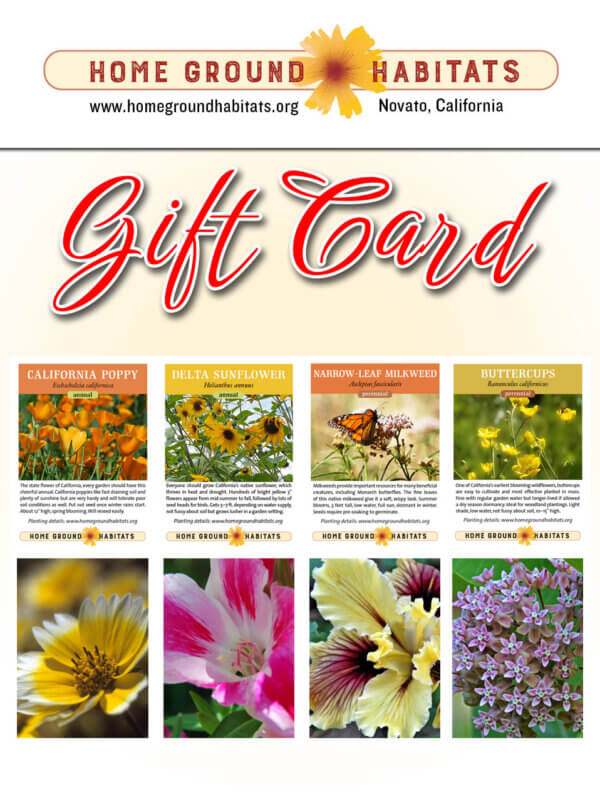 Home Ground Habitats - Gift Card - Images of different flowers, logo and texts.