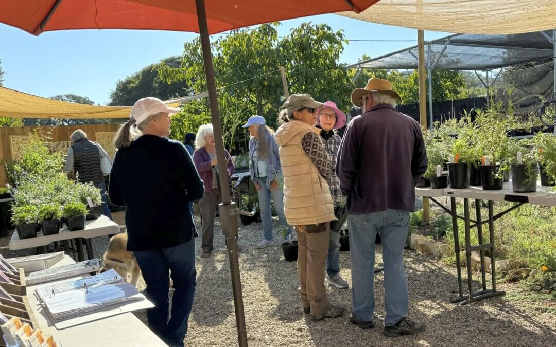 Oct 26 Fall Celebration & Plant Sale