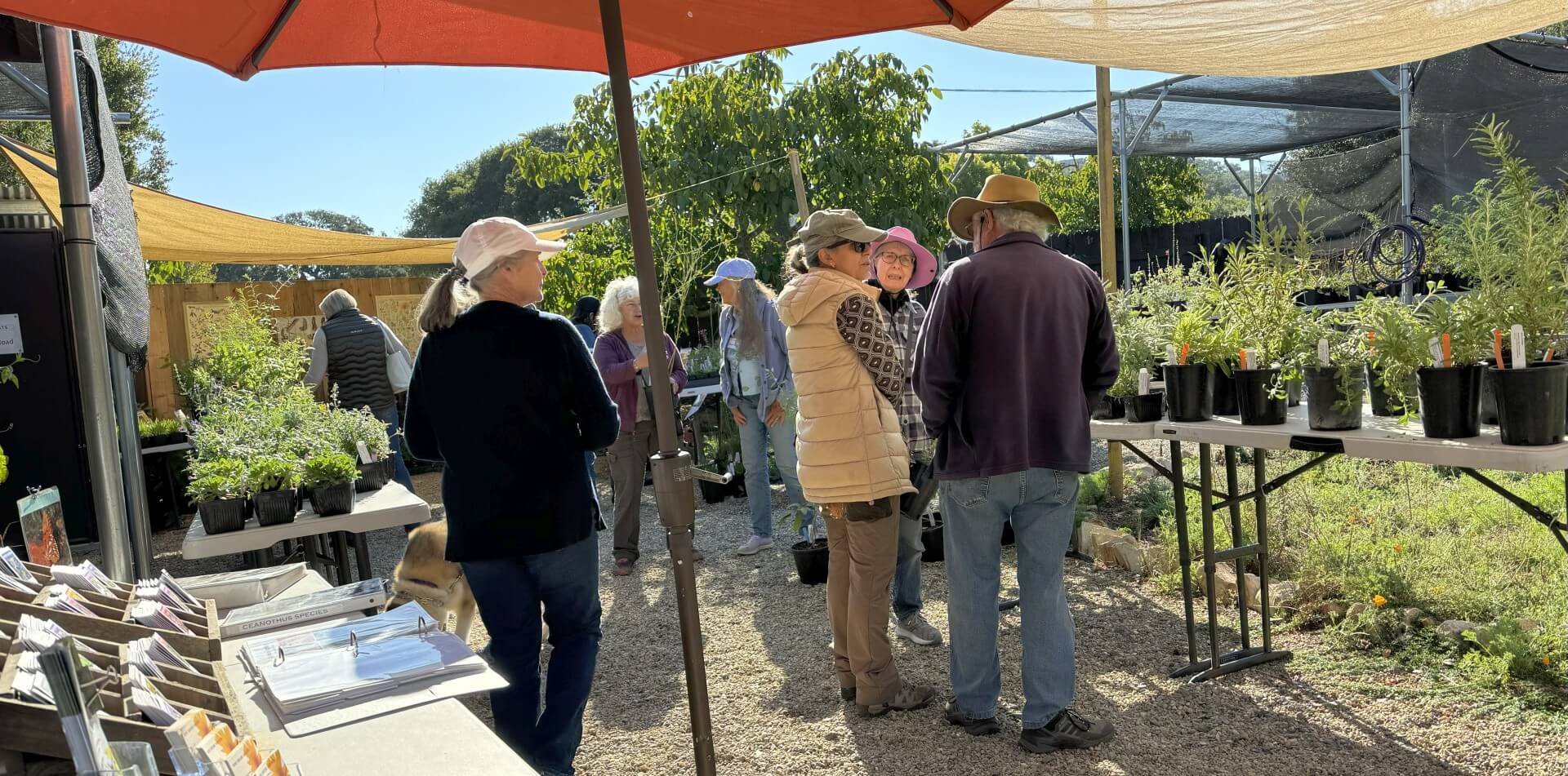 HGH Plant Sale 2023 wide