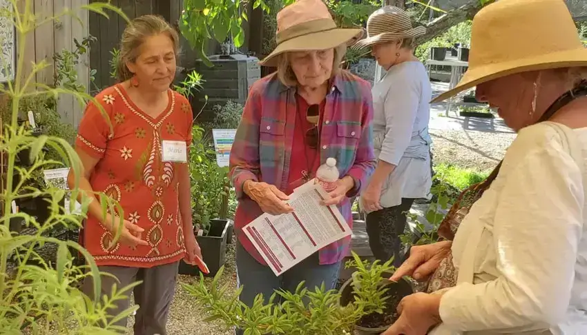 Home Ground Habitats - Fall Celebration 2024 - Women in the garden