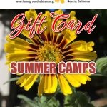 Home Ground Habitats - Gift Card Summer Camps - A flower, logo and texts.