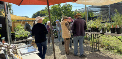 Home Ground Habitats - Garden Sale - People in a garden with a stall selling seeds.