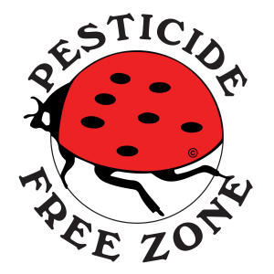 Ladybug Sign