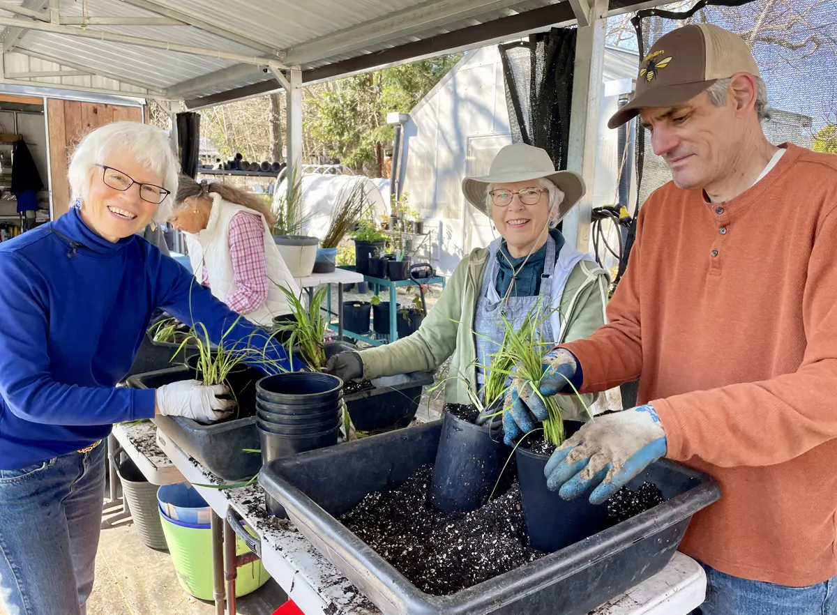 Volunteers at work