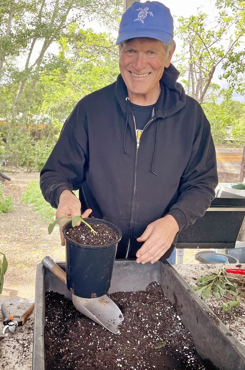 volunteer-prearing-the-plant
