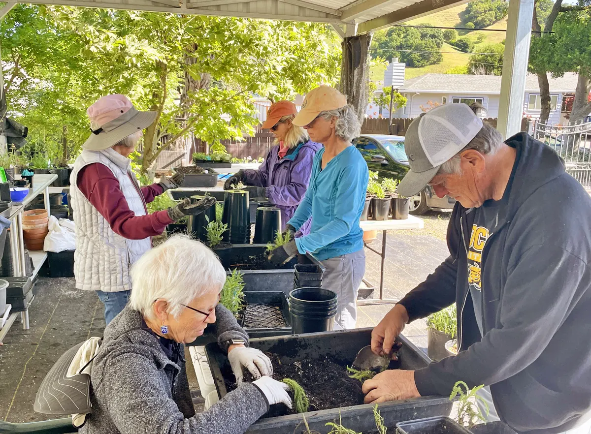 volunteers-planting-the-seeds